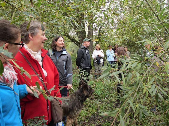 Herfstwandeling Ivan 05