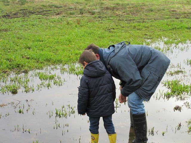 Herfstwandeling Ivan 19