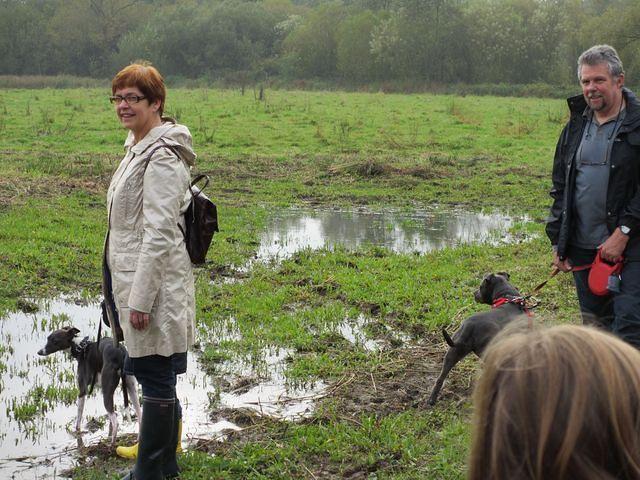 Herfstwandeling Ivan 25