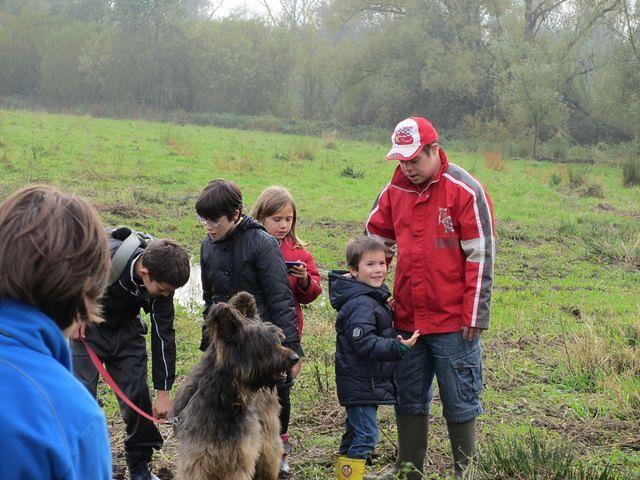 Herfstwandeling Ivan 28