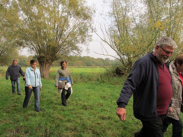 Herfstwandeling Ivan 31