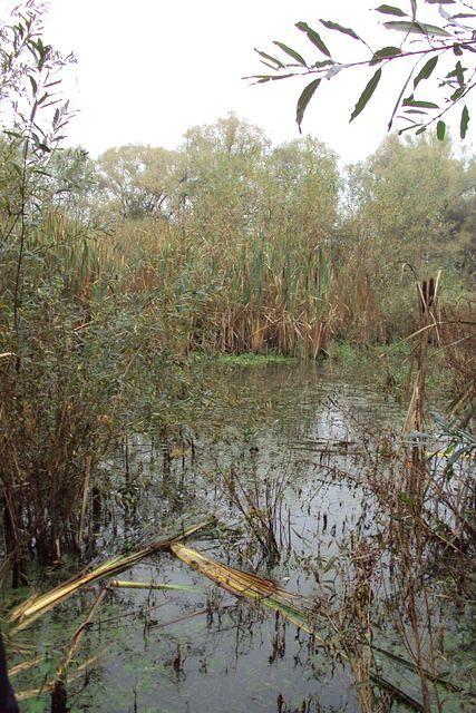 Herfstwandeling Rudy 02