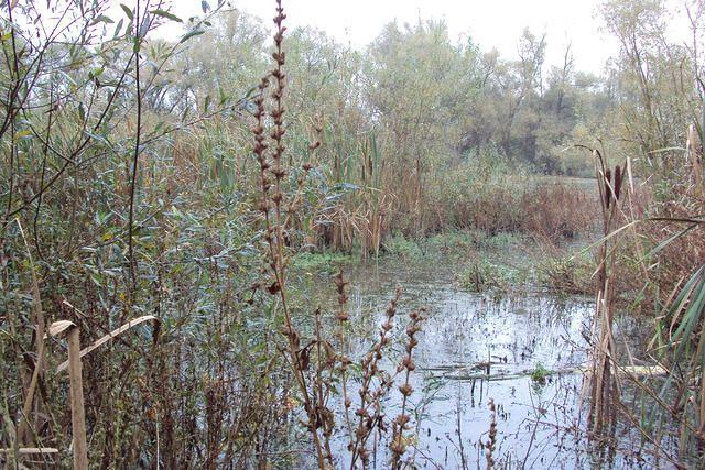 Herfstwandeling Rudy 03