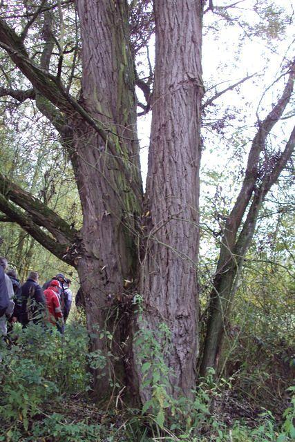 Herfstwandeling Rudy 06