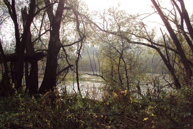 Herfstwandeling Rudy 09