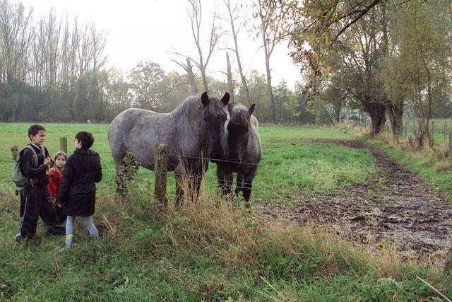 Herfstwandeling Rudy 23