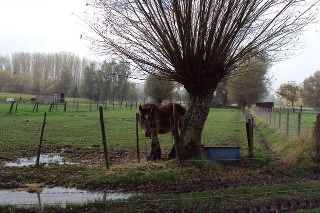 Herfstwandeling Rudy 24