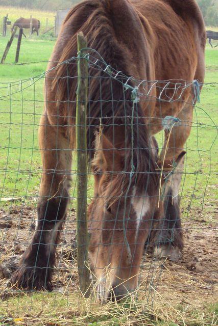 Herfstwandeling Rudy 27