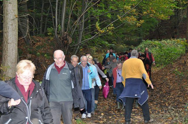 Herfstwandeling 2013 10 20 41