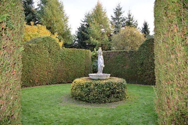Herfstwandeling 2015 10 25 52