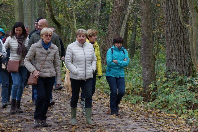 Herfstwandeling 20161023 59