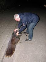 Wandelen onder satellieten 2008 02 16 32