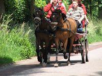 Fietstocht Achel 2008 06 01 056