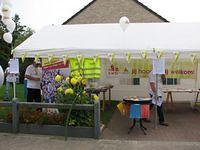 Avondmarkt Gijzegem 2008 08 29 06