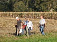 Herfstwandeling 1 2008 10 12 17