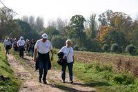 Herfstwandeling 2 2008 10 12 16