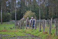 Herfstwandeling 2010 10 24 25