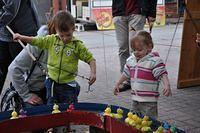 Avondmarkt Gijzegem 09