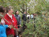 Herfstwandeling Ivan 05