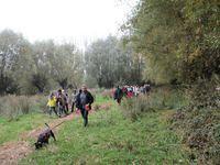 Herfstwandeling Ivan 07