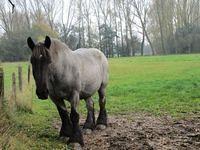 Herfstwandeling Ivan 43