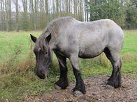 Herfstwandeling Ivan 44