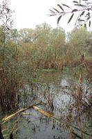 Herfstwandeling Rudy 02