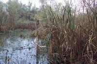 Herfstwandeling Rudy 04