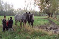 Herfstwandeling Rudy 23