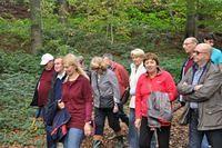 Herfstwandeling 2013 10 20 16