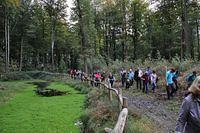 Herfstwandeling 2013 10 20 19