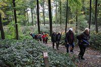 Herfstwandeling 2013 10 20 20