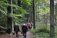 Herfstwandeling 2013 10 20 22