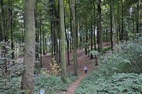 Herfstwandeling 2013 10 20 25