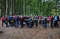 Herfstwandeling 2013 10 20 27