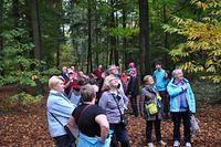 Herfstwandeling 2013 10 20 30