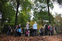 Herfstwandeling 2013 10 20 32