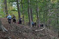 Herfstwandeling 2013 10 20 37