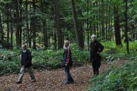 Herfstwandeling 2013 10 20 39