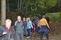 Herfstwandeling 2013 10 20 41