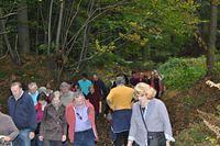 Herfstwandeling 2013 10 20 42