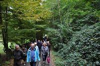 Herfstwandeling 2013 10 20 43