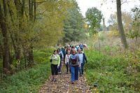 Herfstwandeling 2015 10 25 05