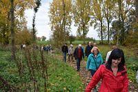 Herfstwandeling 2015 10 25 07