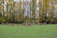 Herfstwandeling 2015 10 25 09