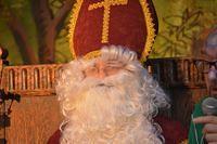 Sint-Maartenfeest 2015 11 08 084