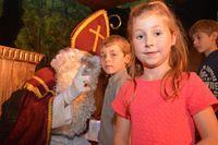 Sint-Maartenfeest 2015 11 08 103