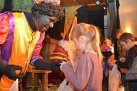 Sint-Maartenfeest 2015 11 08 141