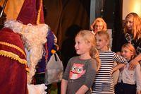 Sint-Maartenfeest 2015 11 08 165