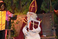 Sint-Maartenfeest 2015 11 08 208